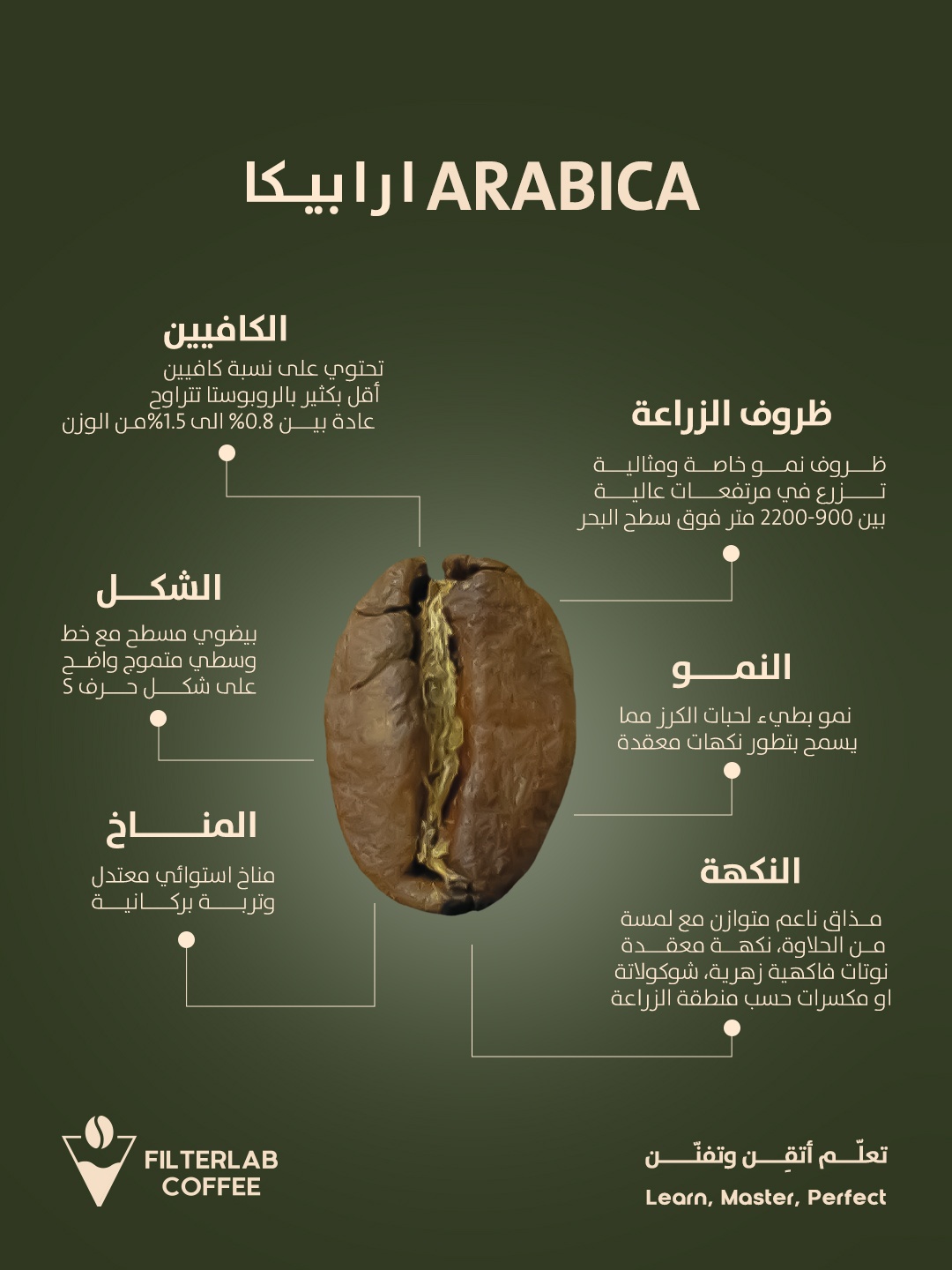 حملة اعلانية/ filterlab coffee — 2